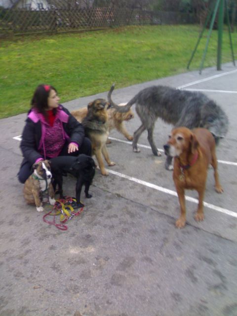 Teja, Jasna in 8 psov