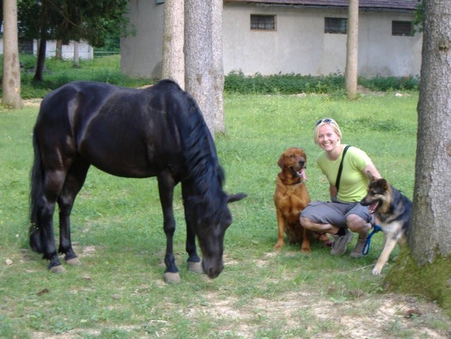 Psi, muce, konji - foto povečava