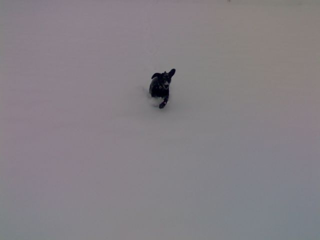 Maik in snow