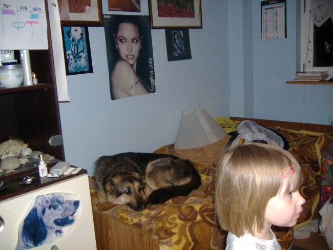Psi in otroci - foto povečava