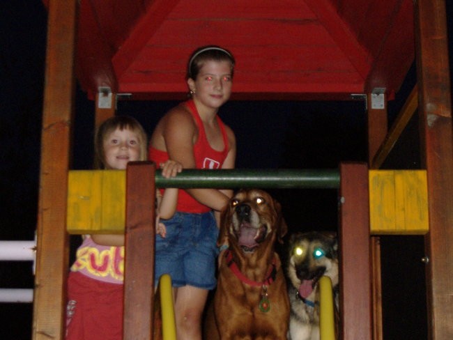 Psi in otroci, julij 2007 - foto povečava