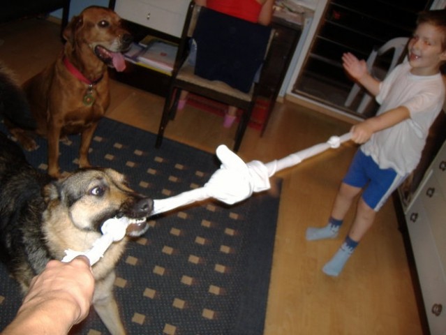 Psi in otroci, julij 2007 - foto
