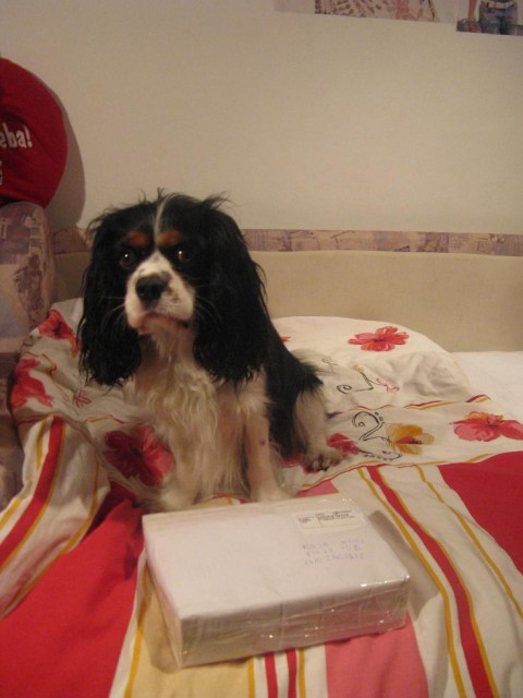 December 08 - foto