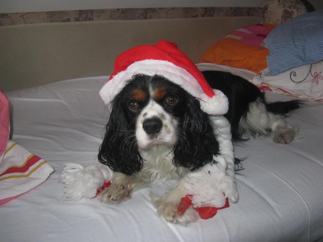 December 08 - foto