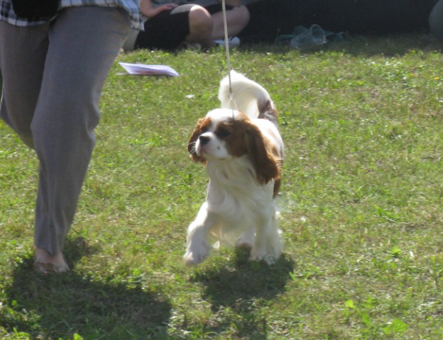 30.8.09 - cac Trbovlje - foto