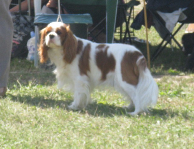 30.8.09 - cac Trbovlje - foto