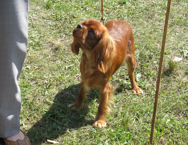 30.8.09 - cac Trbovlje - foto povečava