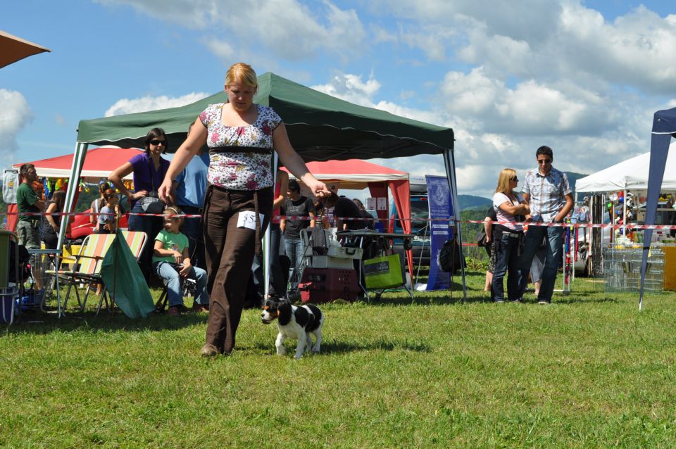 Cac Trbovlje - foto povečava