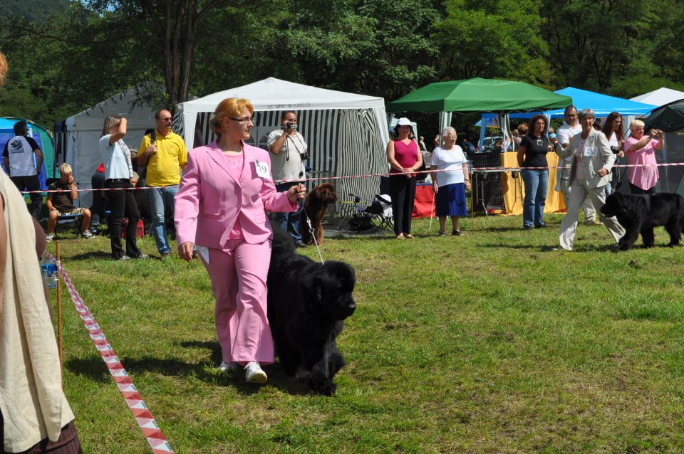 Cac Trbovlje - foto povečava