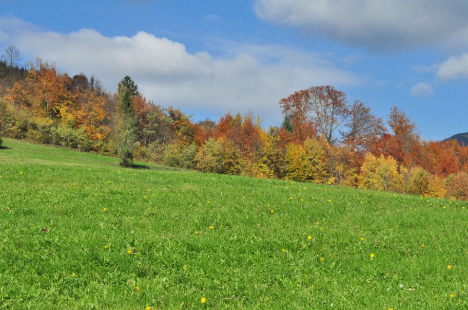 September in oktober 2010 - foto povečava