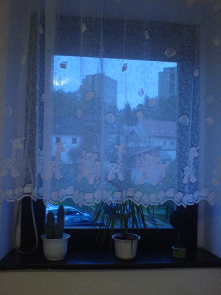 okno v moji sobici