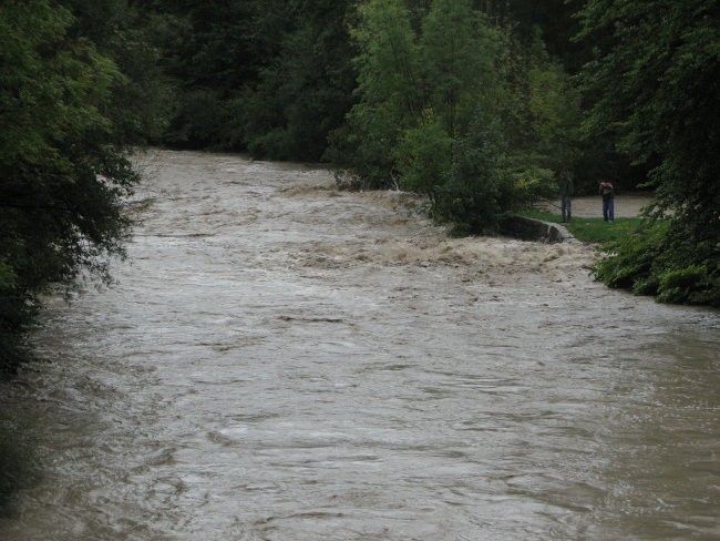 Neurje-18.9.2007 - foto povečava