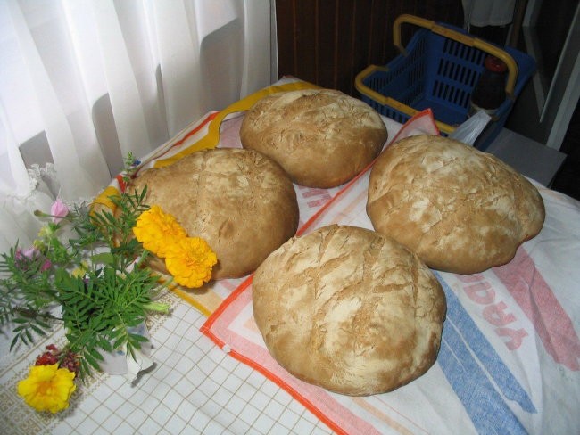 Kruh (iz krušne peči)