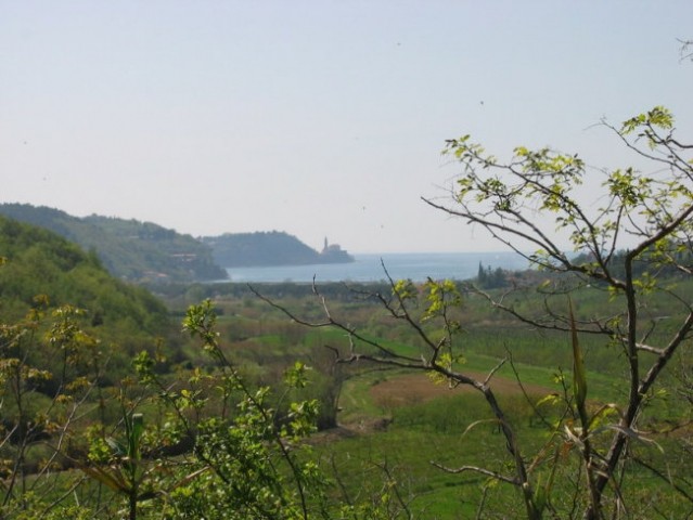 Piran 2005 - foto