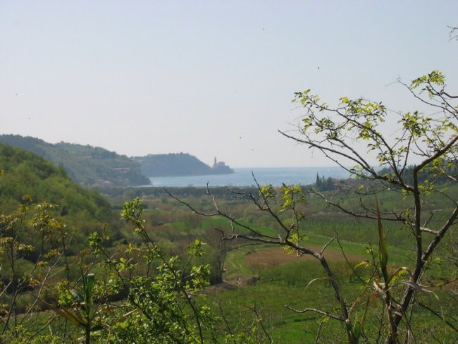 Piran 2005 - foto povečava