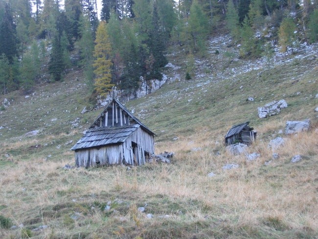 Razpadajoči pastirski stan na planini Viševnik