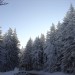 zasnežena idila Areh
smučarski tečaj 3. dan
29.12.2008