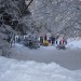 smučarski tečaj 3. dan
29.12.2008