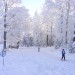 smučarski tečaj 3. dan
29.12.2008