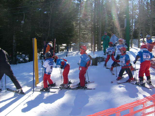 Smučanje januar 25.2. do 28.2.2009 - foto povečava