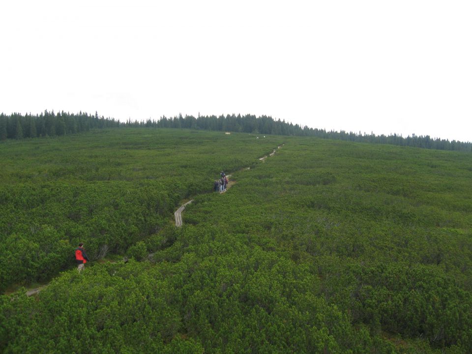 Pohorje tour 2010 - foto povečava