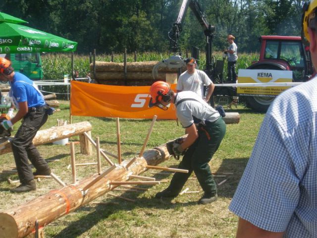 Gozdarsko tekmovanje - foto