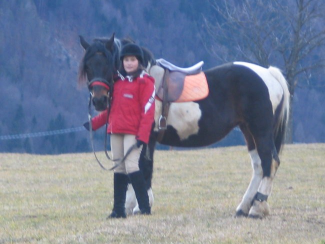 Konji - foto povečava