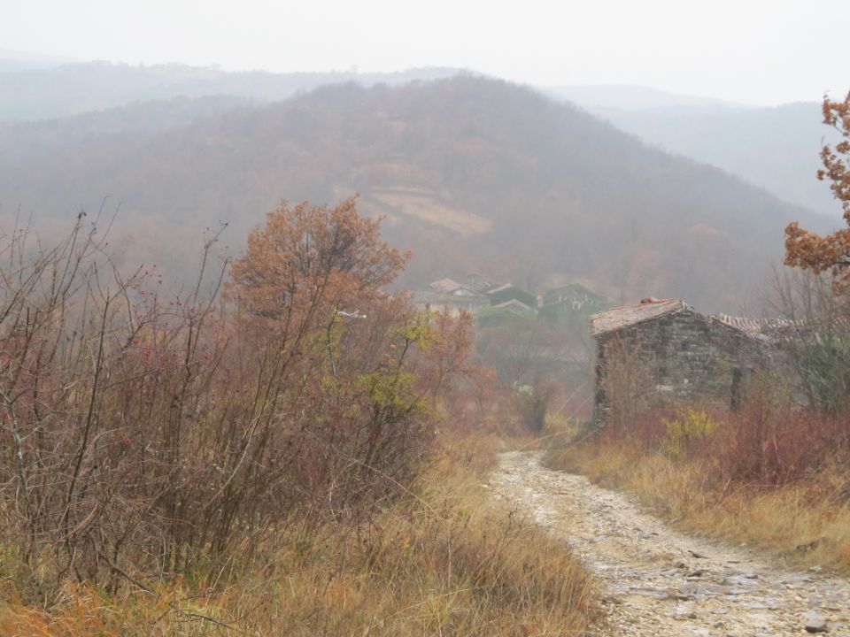 PIKNIK - foto povečava